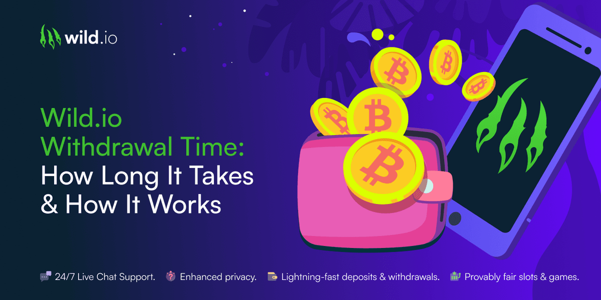 Wild.io Withdrawal Time: How Long It Takes & How It Works