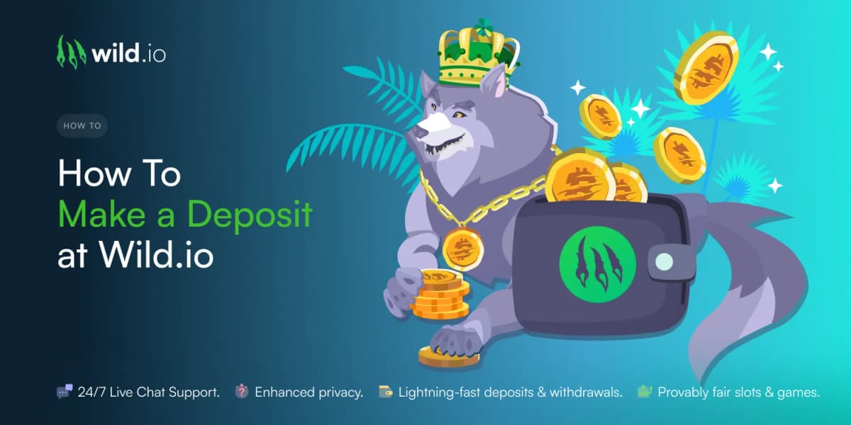 How To Make a Deposit at Wild.io