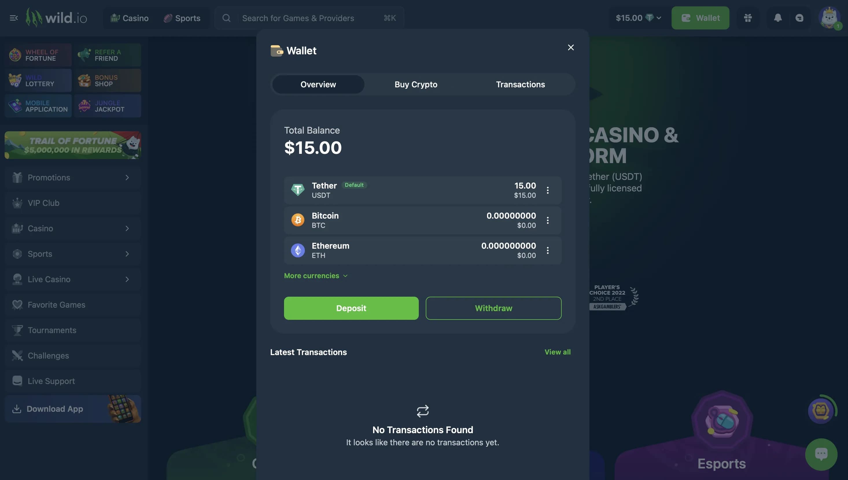 Wild.io wallet dashboard displaying USDT balance, crypto options, and withdraw button for initiating a withdrawal