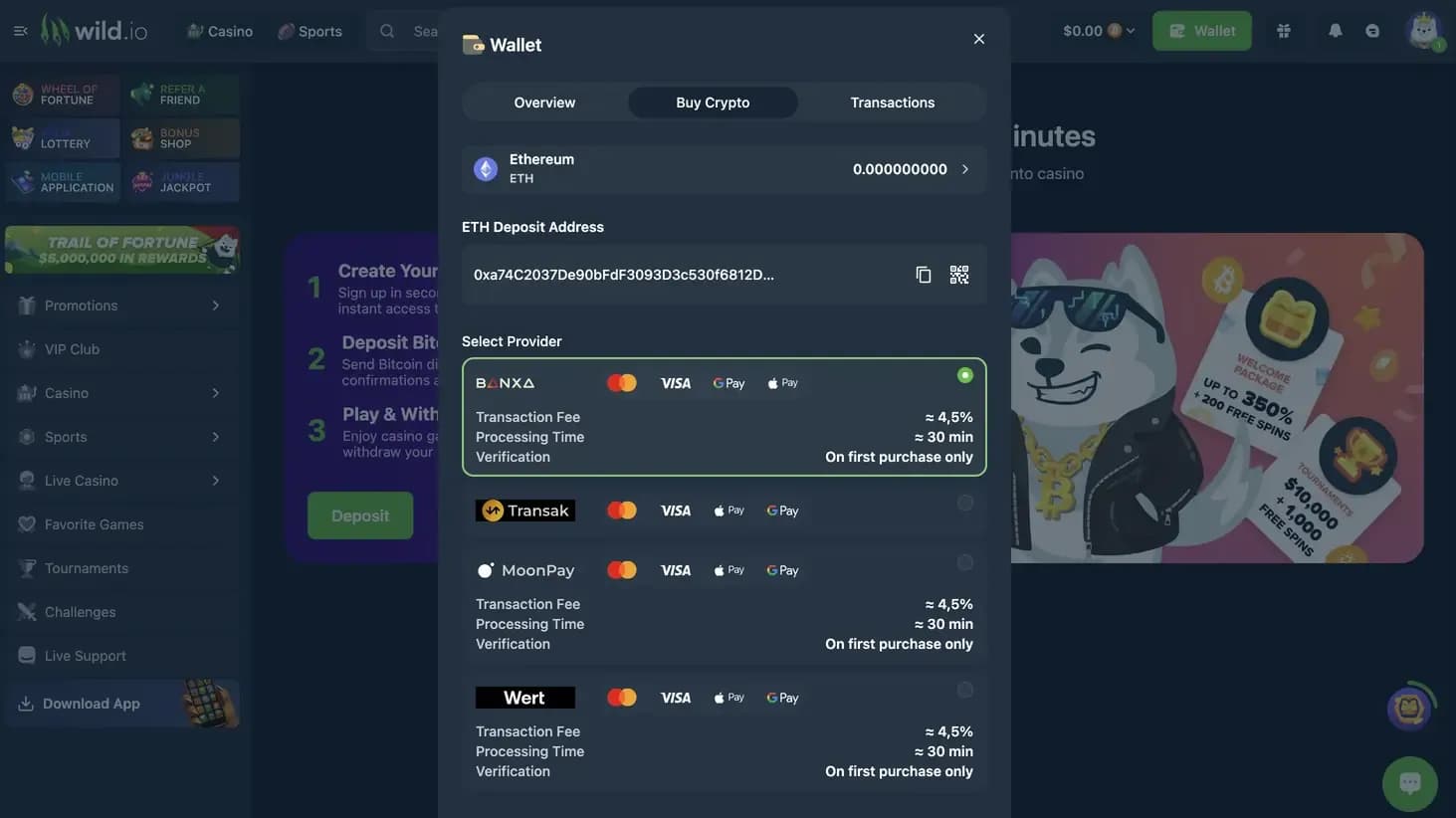 Wild.io wallet buy crypto screen showing payment providers, fees, and processing times for purchasing Ethereum