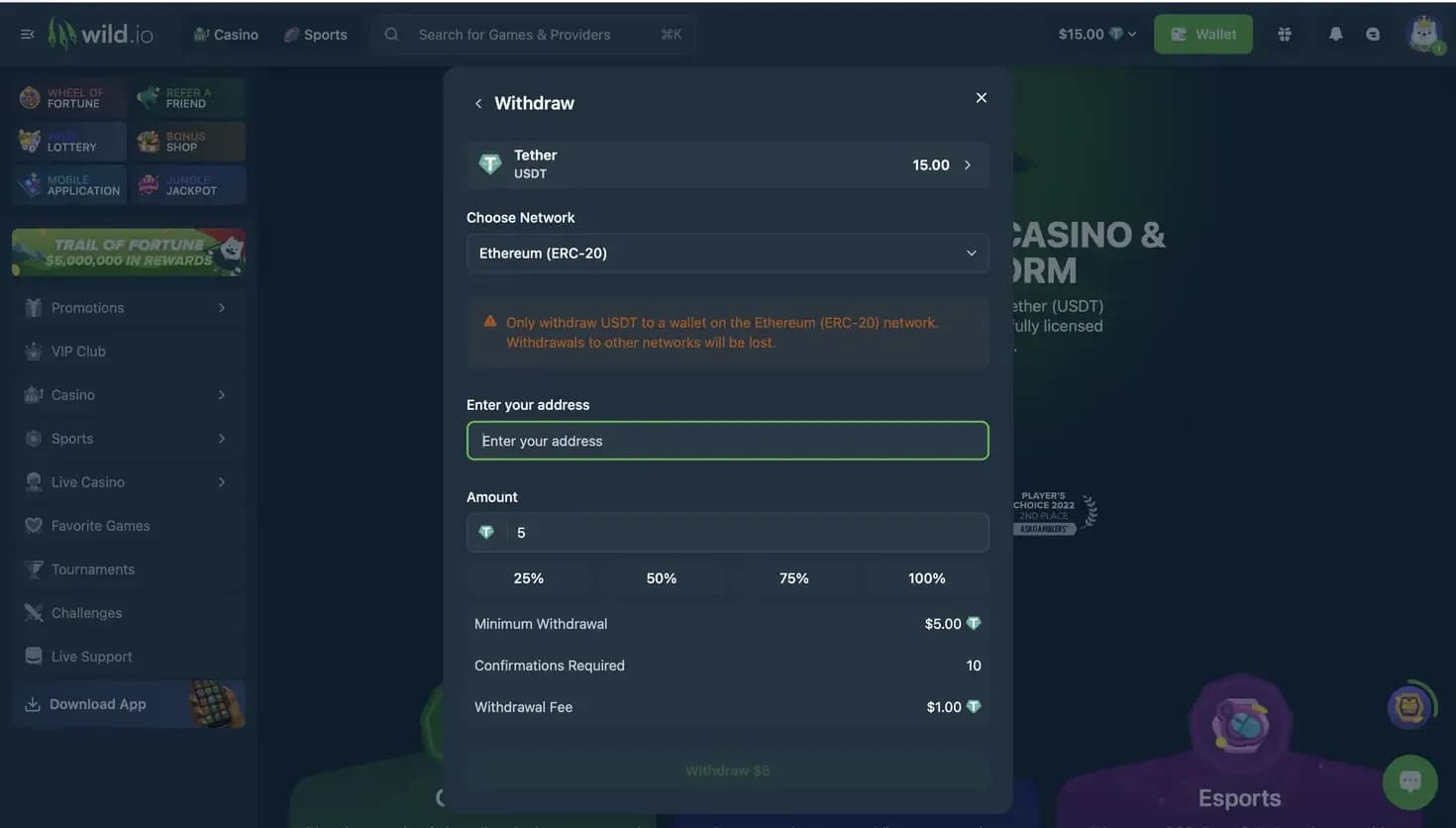 Wild.io withdrawal page displaying USDT ERC-20 network selection, wallet address field, amount input, minimum withdrawal, and fee information