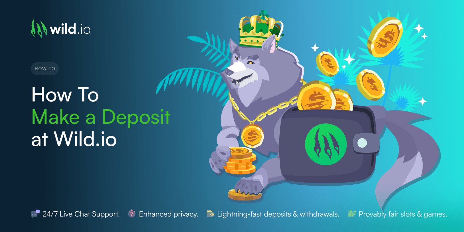 How To Make a Deposit at Wild.io