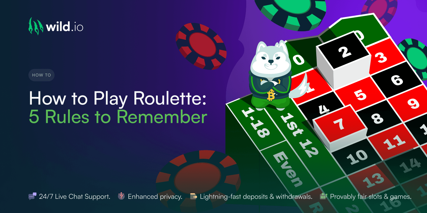 How to Play Roulette | 5 Wild Rules to Remember