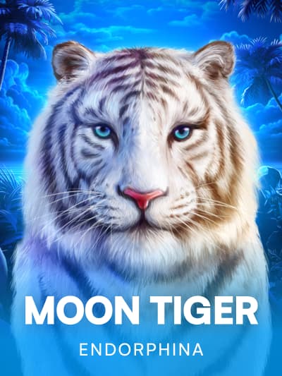 Game image for Moon Tiger