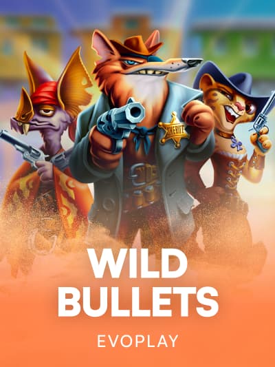 Game image for Wild Bullets