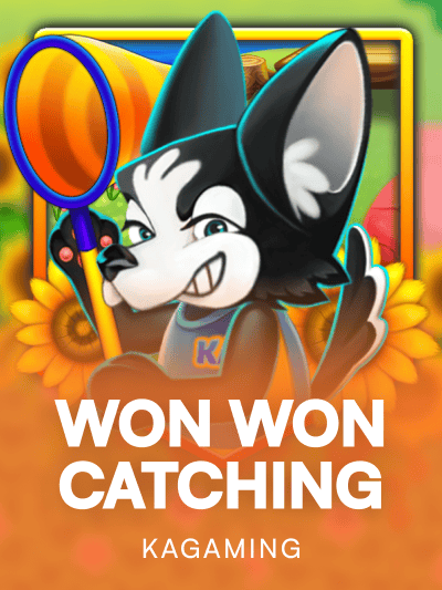 Game image for Won Won Catching