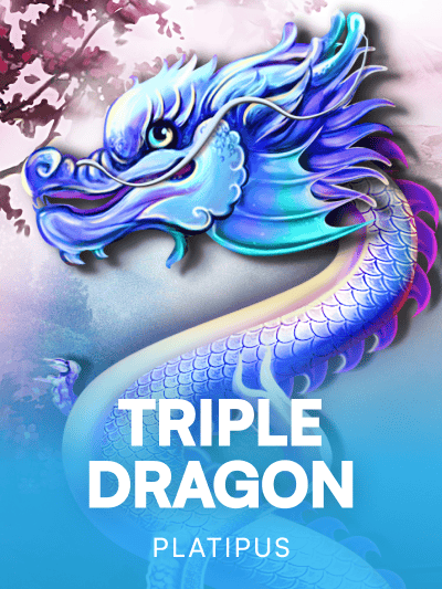 Game image for Triple Dragon