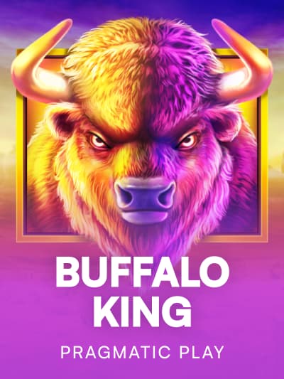 Game image for Buffalo King