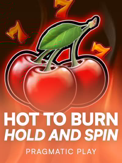 Game image for Hot to Burn Hold and Spin