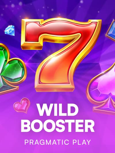 Game image for Wild Booster