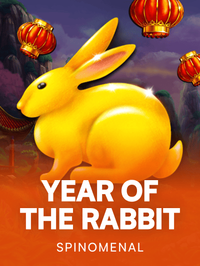 Game image for Year Of The Rabbit