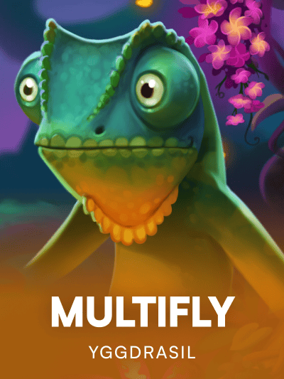Game image for Multifly