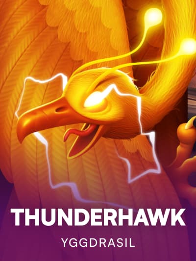 Game image for Thunderhawk