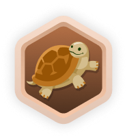 Jackpot badge box