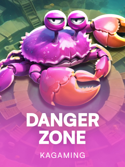 Game card image for Danger Zone