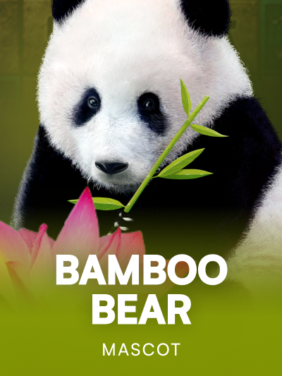 Game card image for Bamboo Bear
