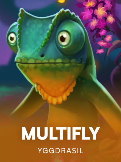 Game card image for Multifly