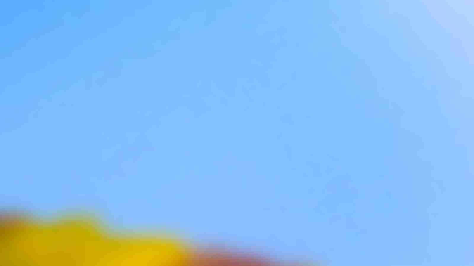 Game Page Background
