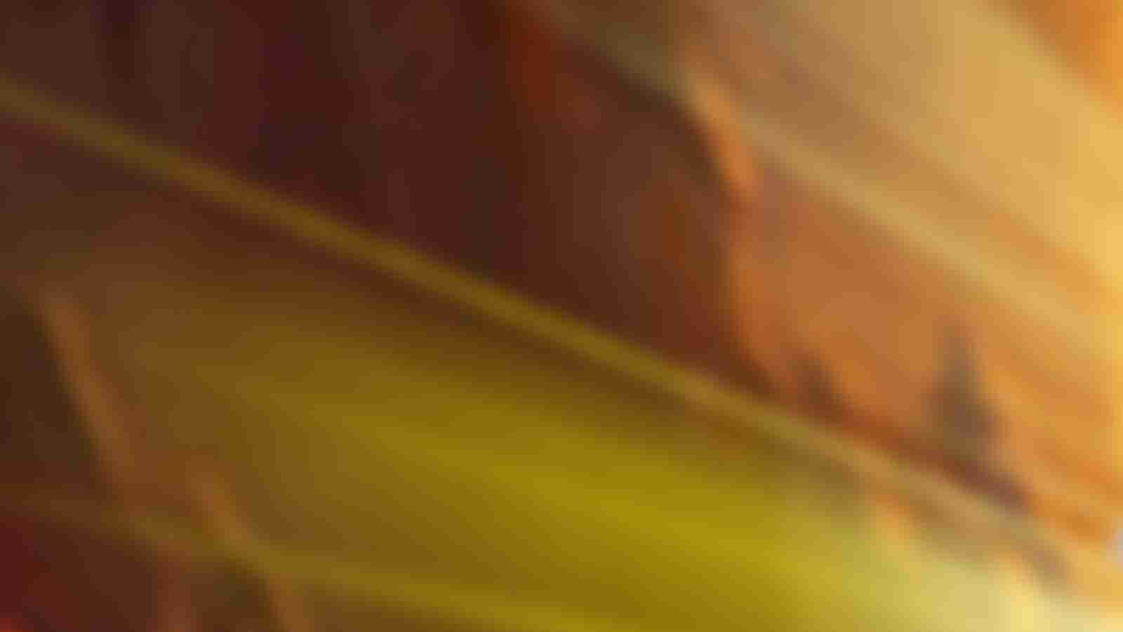 Game Page Background