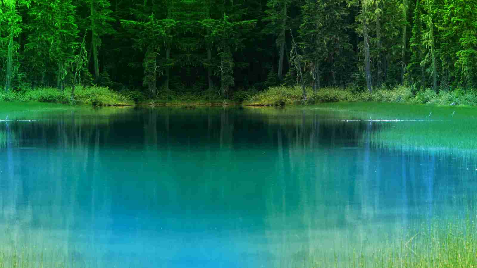 Game Page Background