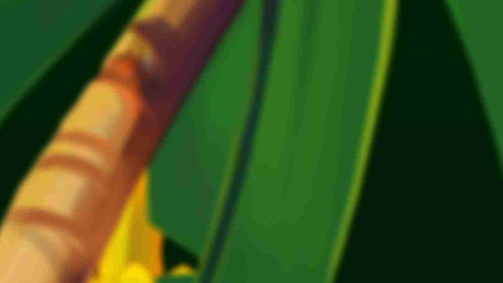 Game Page Background