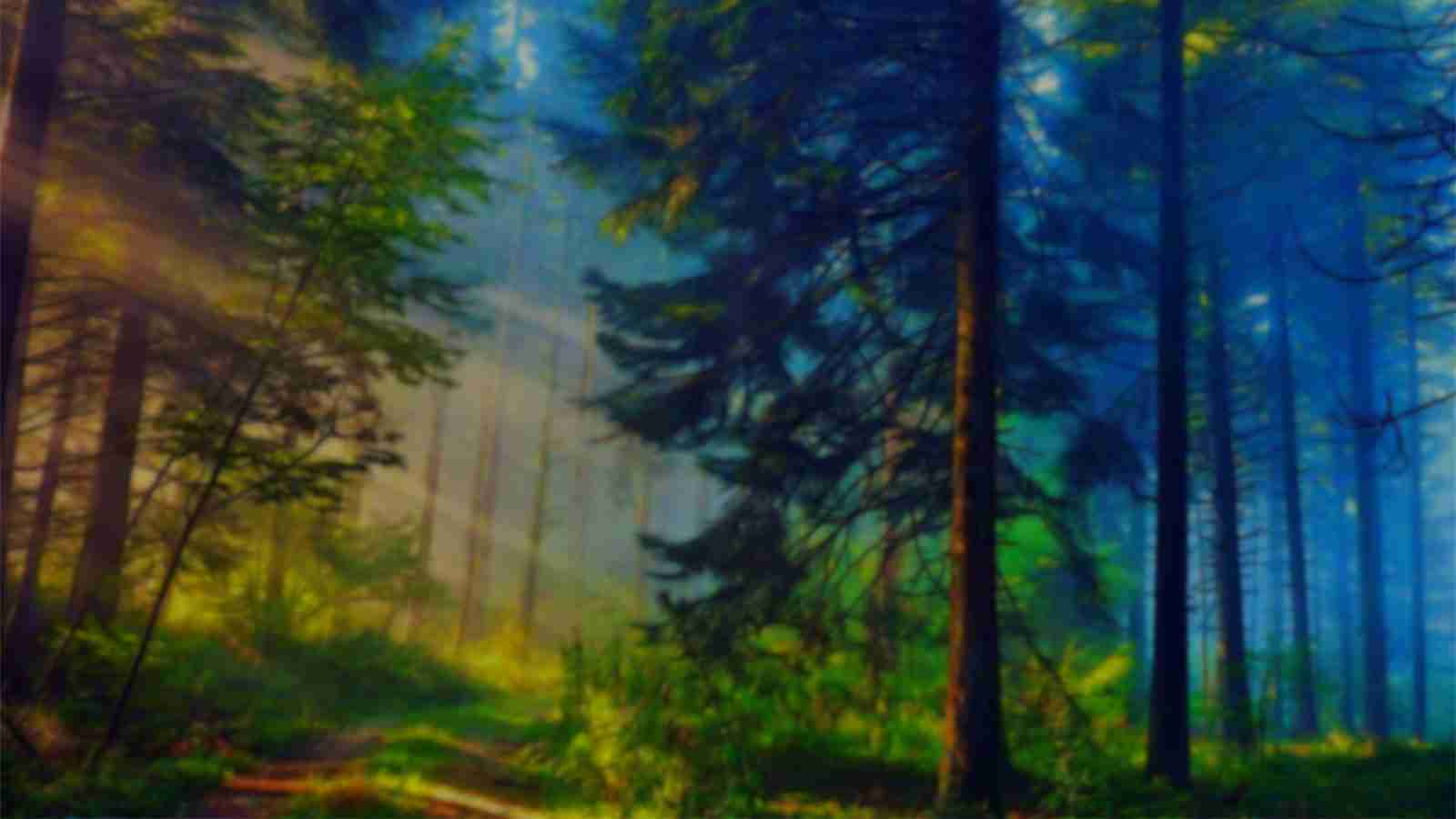 Game Page Background