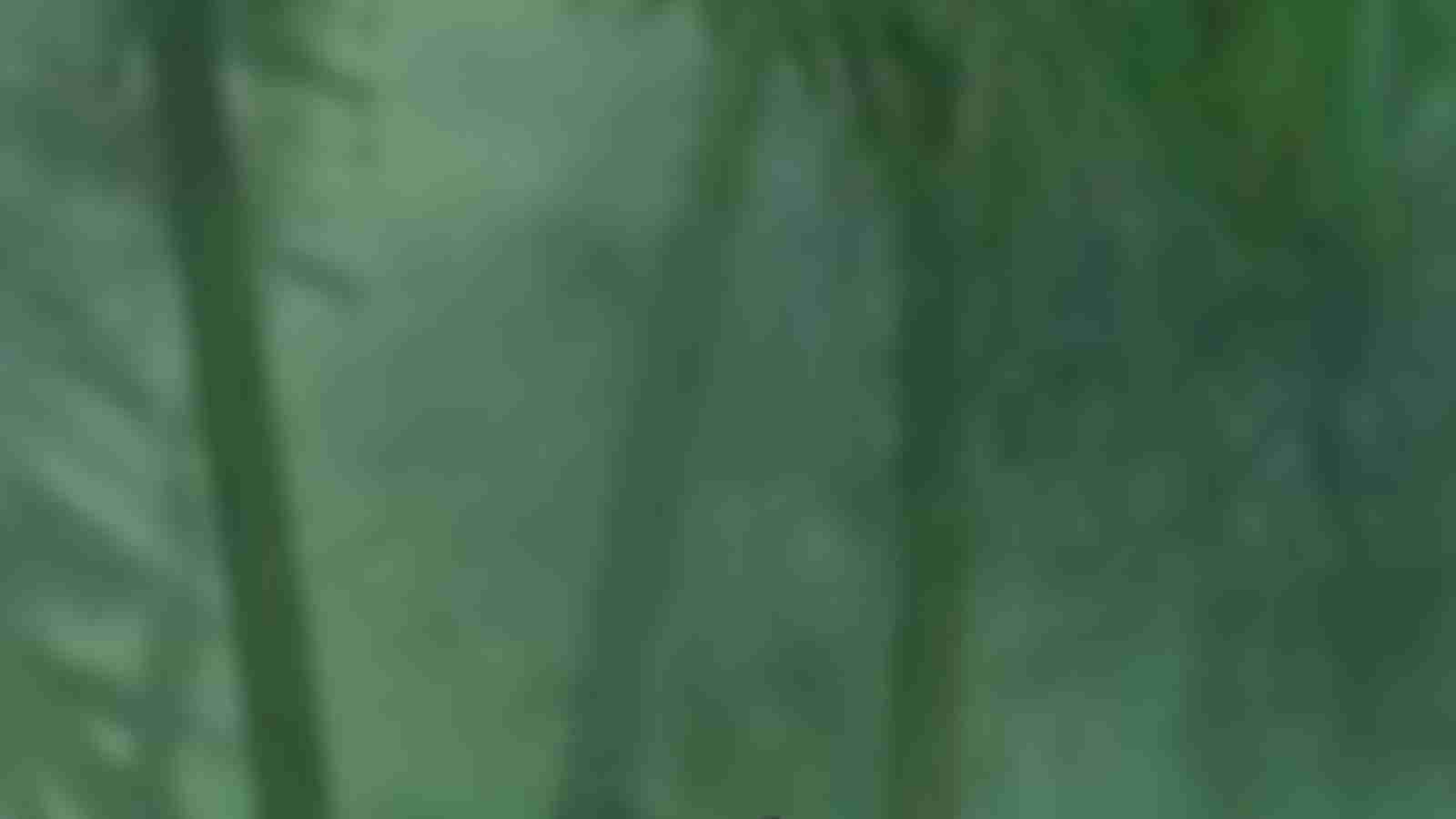 Game Page Background