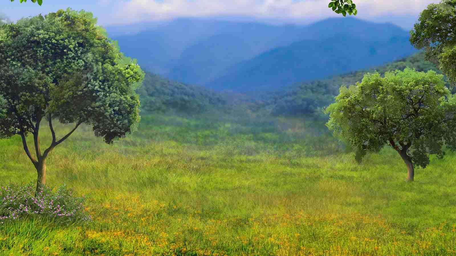 Game Page Background