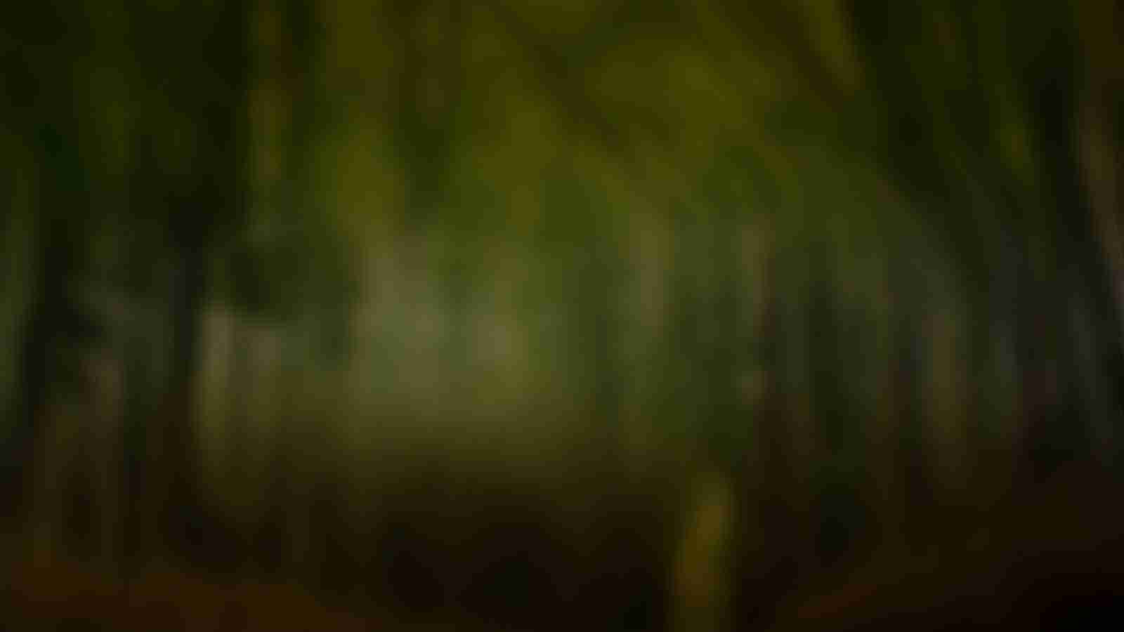 Game Page Background