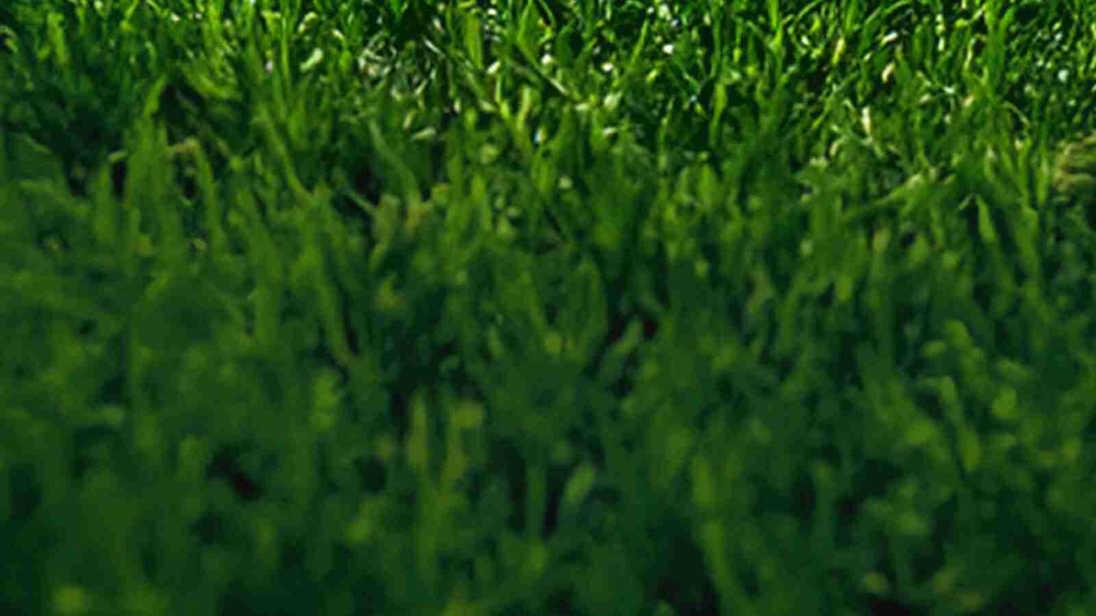 Game Page Background