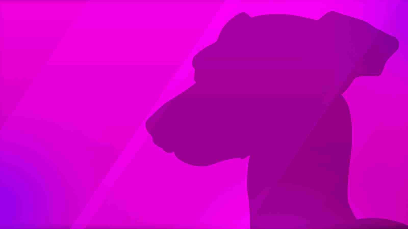 Game Page Background