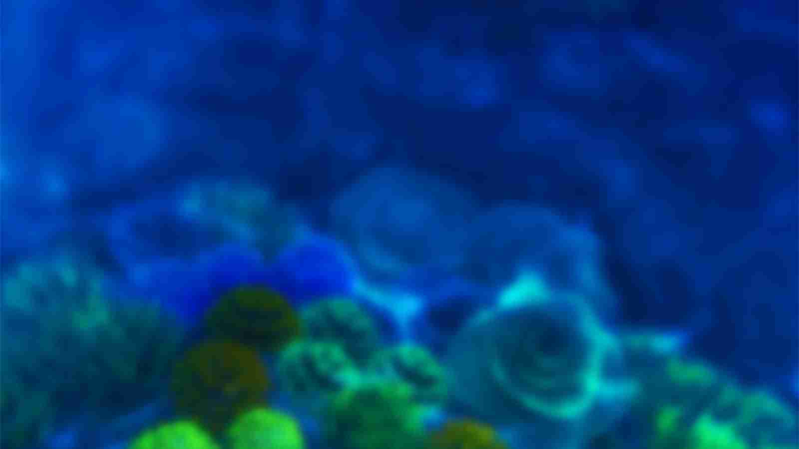 Game Page Background