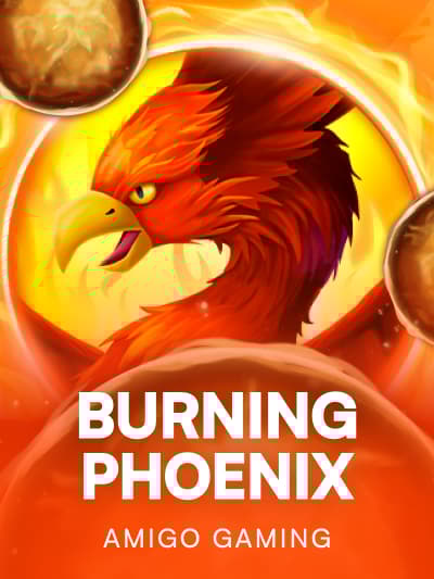 Game image for Burning Phoenix