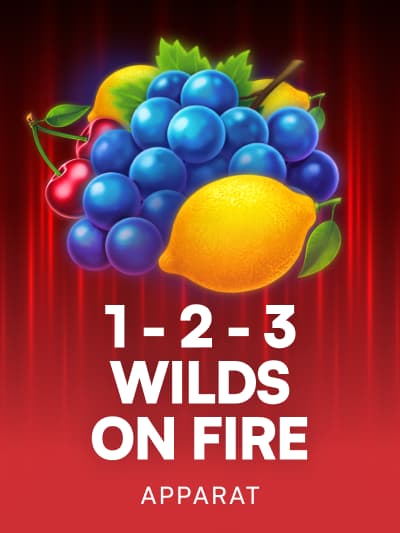 Game image for 1-2-3 Wilds on Fire