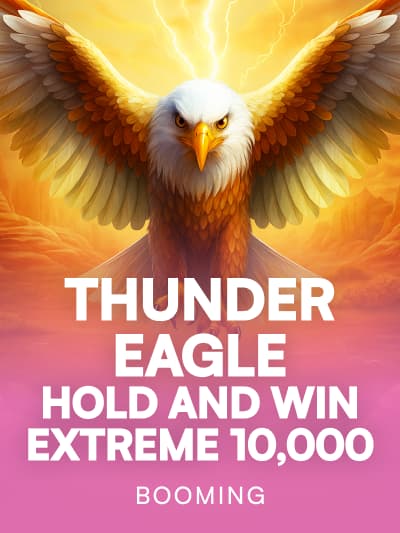 Game image for Thunder Eagle Hold and Win Extreme 10,000