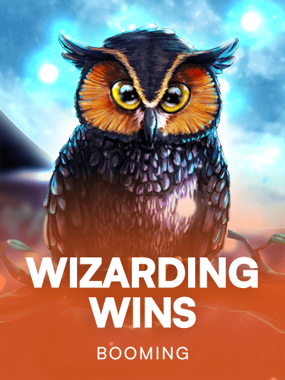 Game image for Wizarding Wins