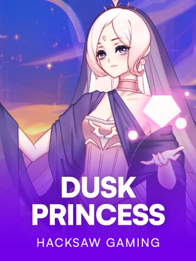 Game image for Dusk Princess