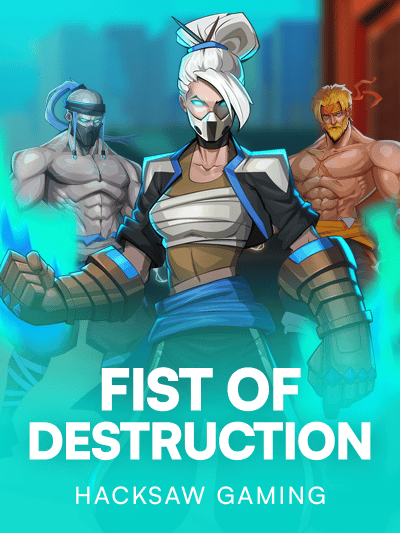 Game image for Fist of Destruction