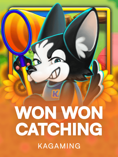 Game image for Won Won Catching