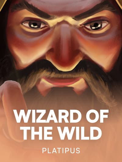 Game image for Wizard of the Wild